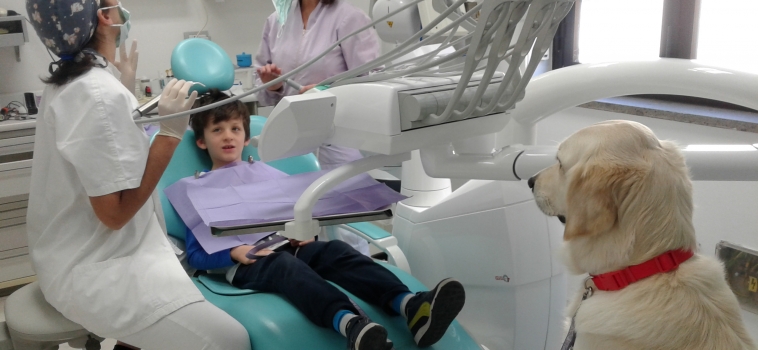 Senza paura, c’è Luna! La pet therapy dal dentista!